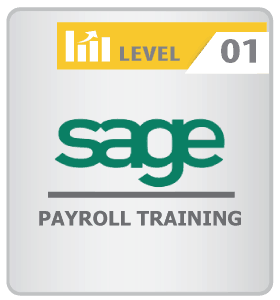 Sage Payroll Training Level 1